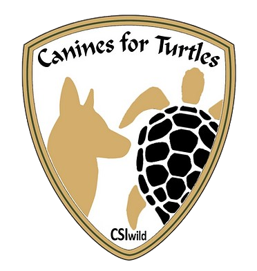 Canines for Turtles badge